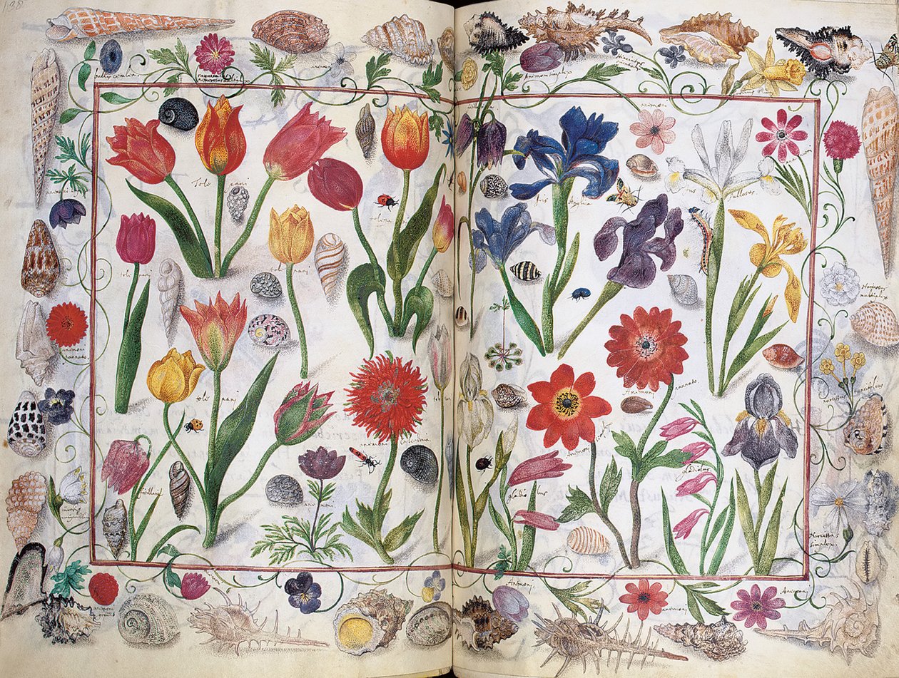 Páginas do Álbum Amicorum de Philipp Hainhofer, 1596-1633 de Unbekannt