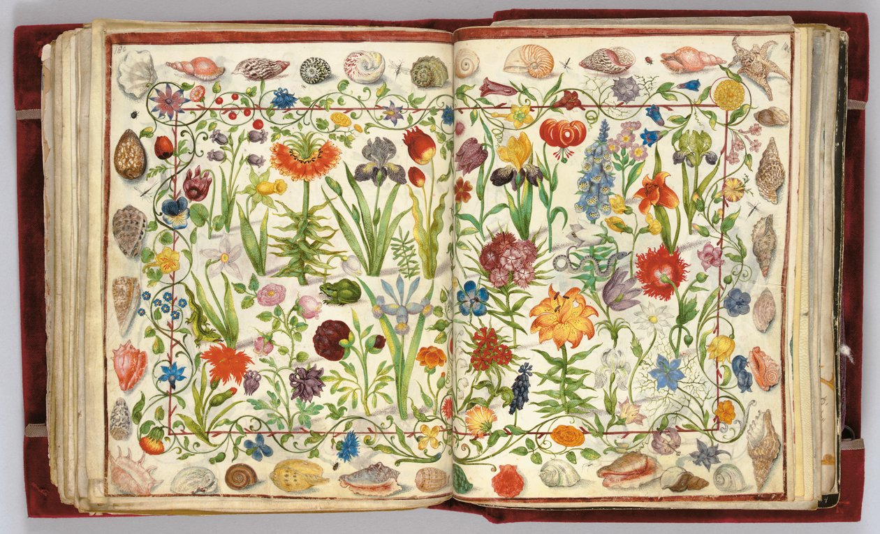 Páginas do Álbum Amicorum de Philipp Hainhofer, 1596-1633 de Unbekannt