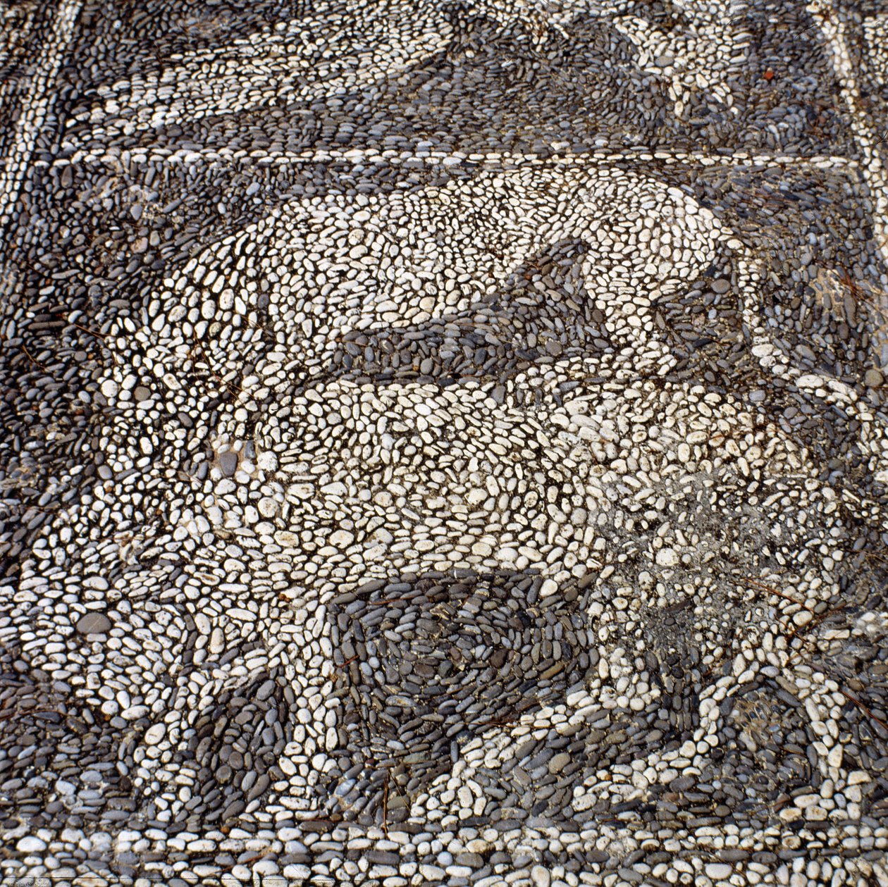 Pantera a atacar um touro (mosaico de pedra) de Unbekannt