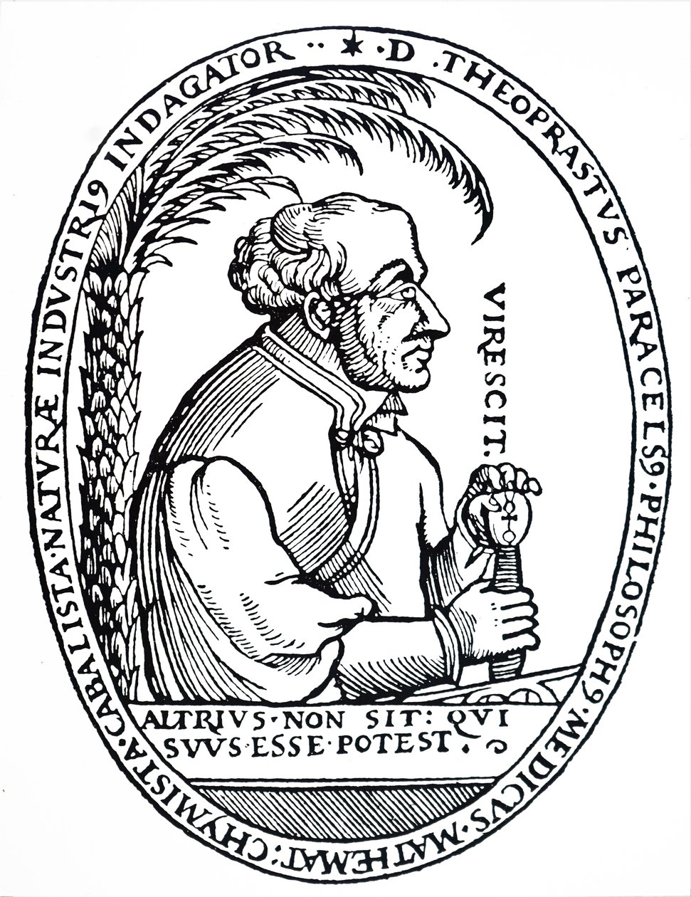 Paracelsus. de Unbekannt