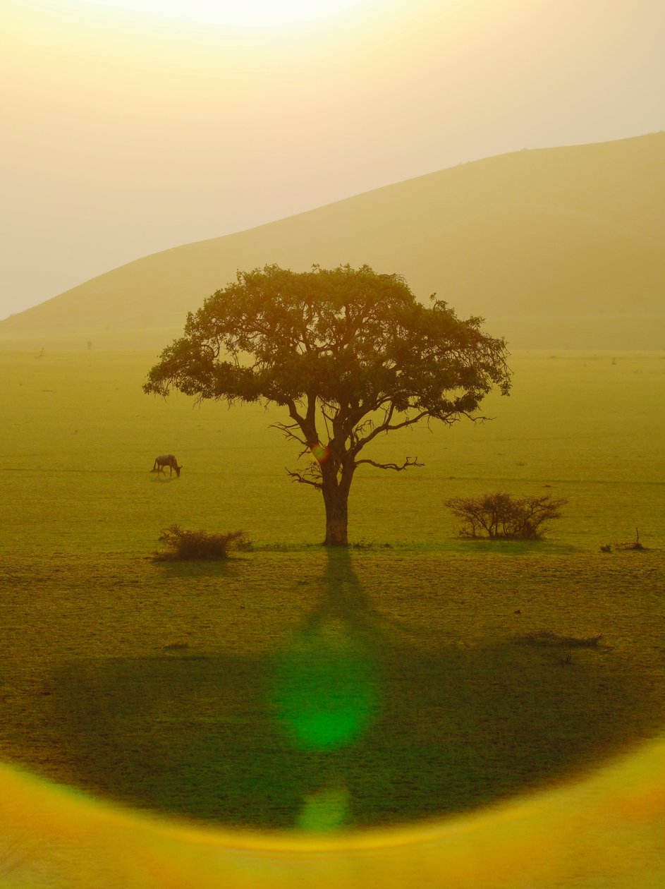 Paraíso depois da chuva, Chyulu Hills, 2018 (fotografia) de Unbekannter Künstler
