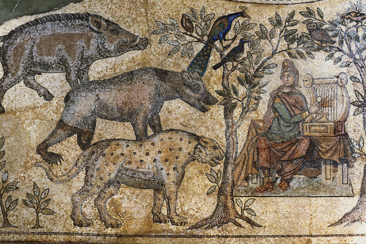 Picardy 073 - Laon - Casa das Associações - Mosaico Romano de Blanzy - "Orphee encanta os animais". de Unbekannt