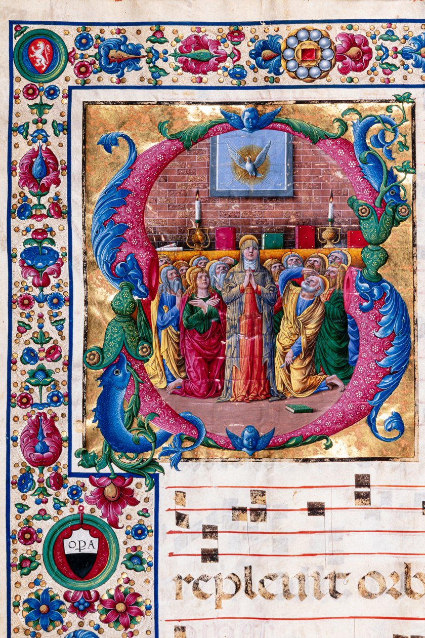 Coroa imperial, orquídea e lírios do vale Florilegium (título da série) de Unbekannter Künstler
