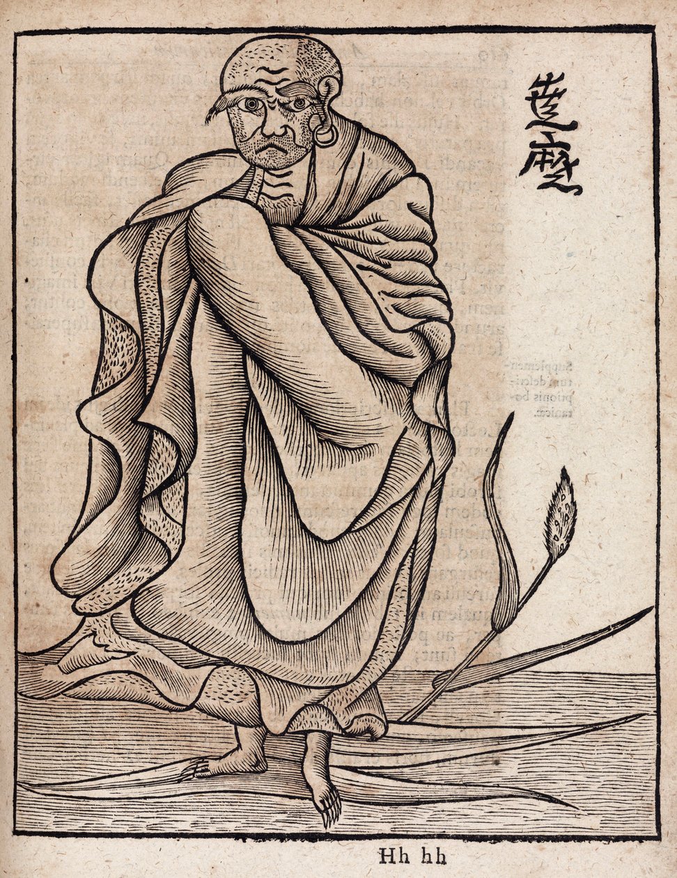 Retrato de Bodhidharma (v de Unbekannt