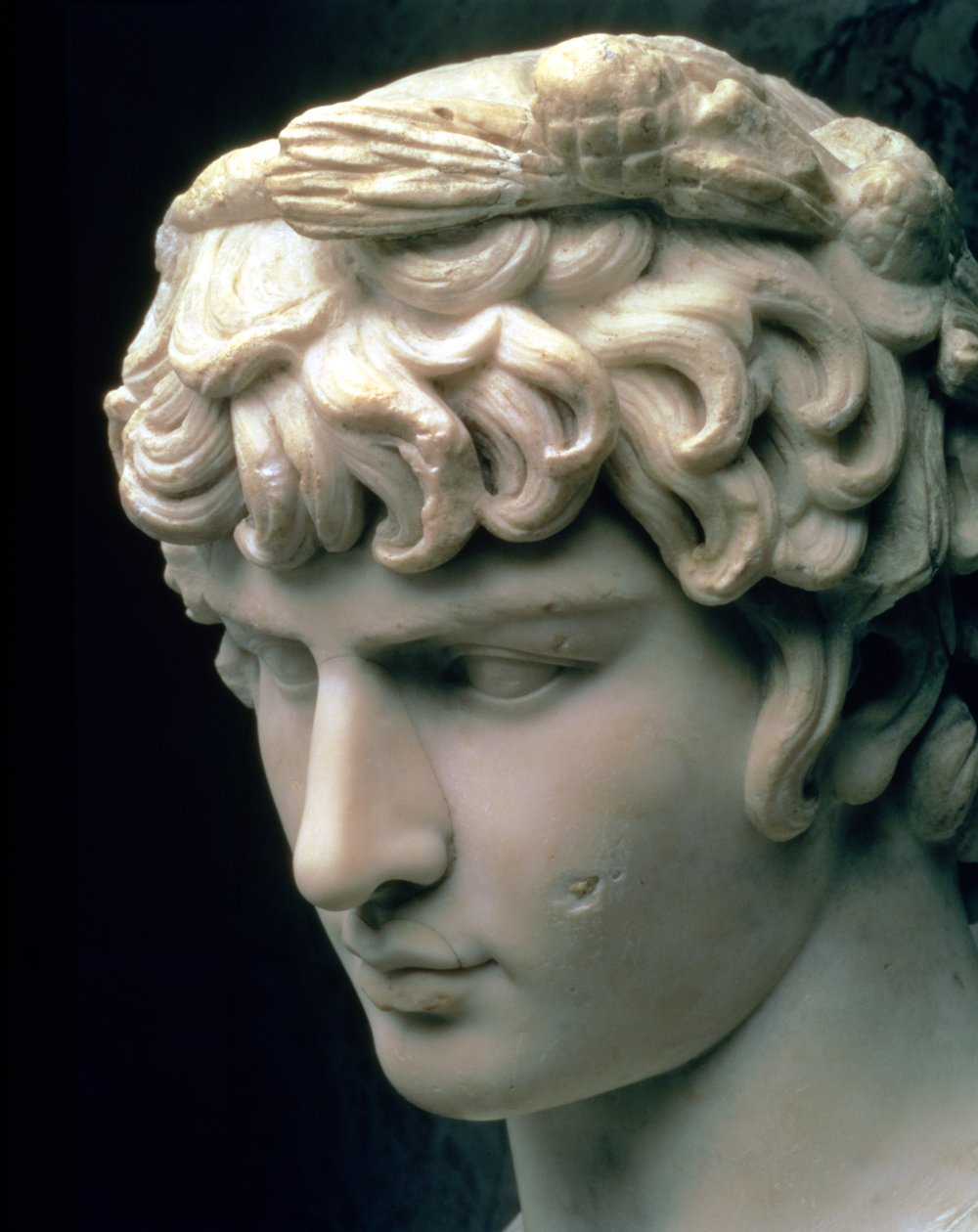 Retrato de Antinous vestindo a coroa de Dionísio, parte de uma estátua da vila do Imperador Adriano em Tivoli, romana, século II (mármore) de Unbekannt