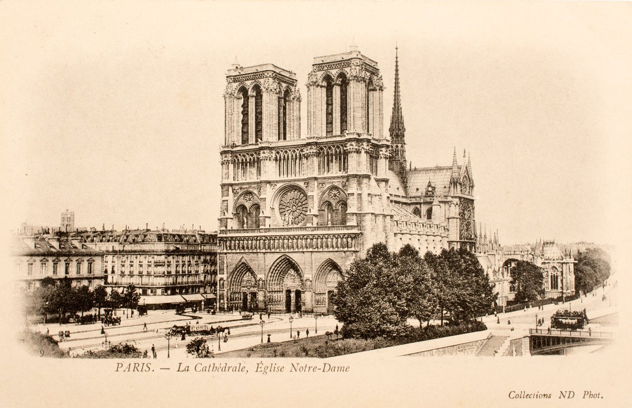 Cartão Postal/Notre Dame/Paris/Seine/Ile de France/France de William M. Timlin