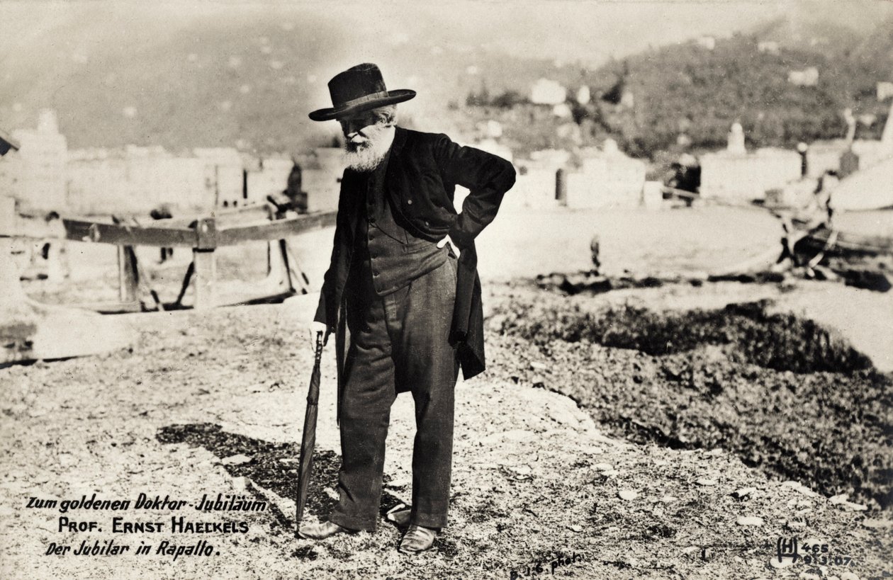 Professor Ernst Haeckels em Rapallo, Itália (foto a p/b) de Unbekannt