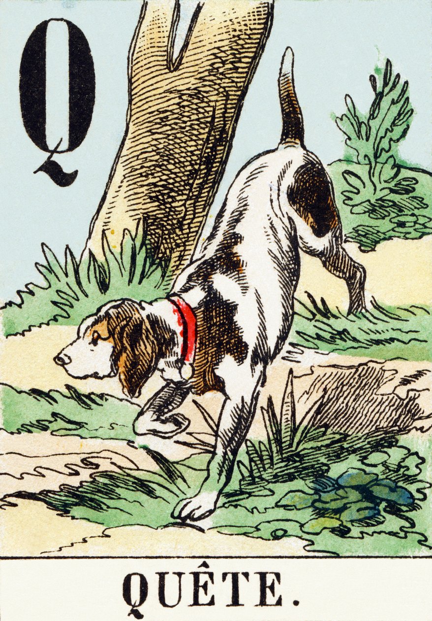 Q: Quete - O Alfabeto de Caça, c.1890 (gravura) de Unbekannt