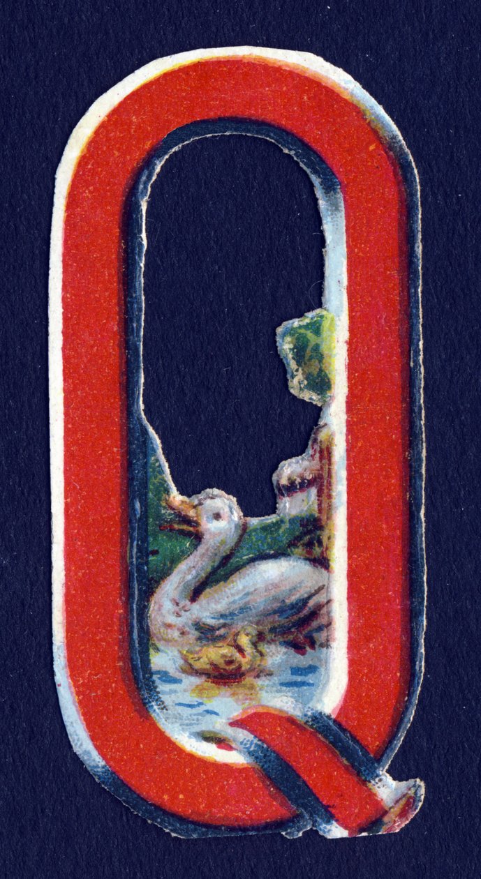 Q como Quack . Decoupis de escaravelho sobre o tema dos animais. Gravura. Série de 26 cromolitógrafos de waffle de origem inglesa. Editor e ilustrador desconhecido. Fim do século XIX. Dim: 5,5x3,5cm. de Unbekannt