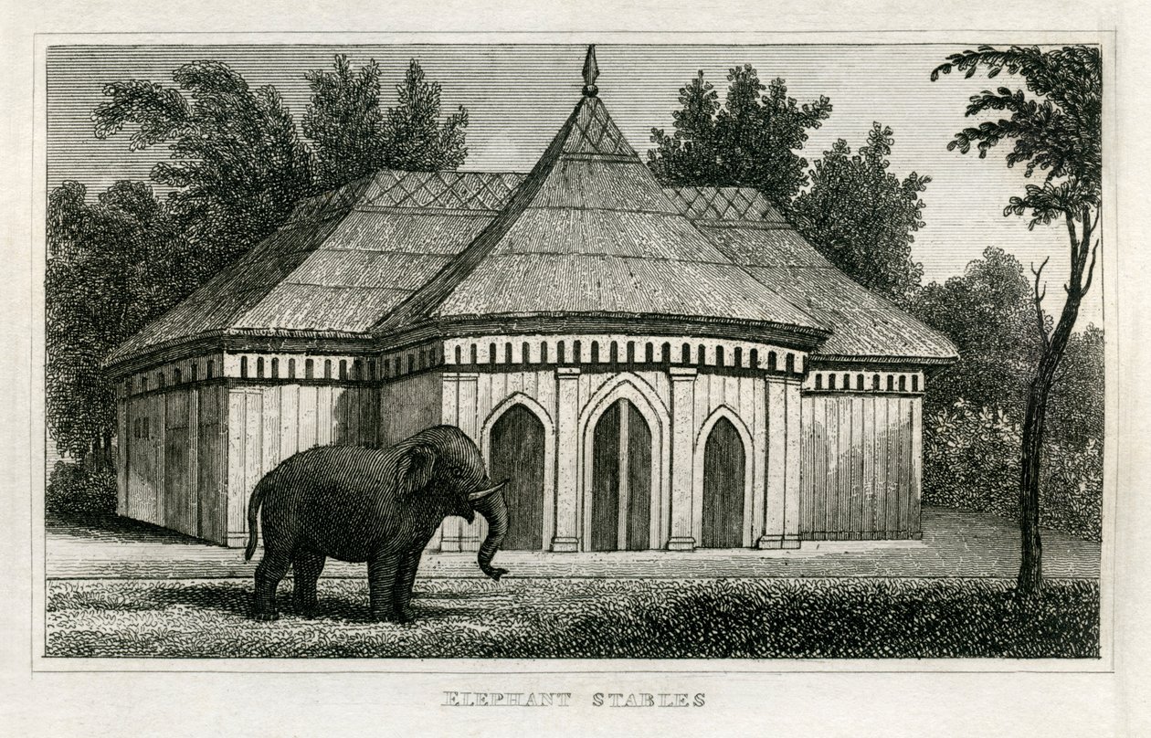 Zoológico Regent
