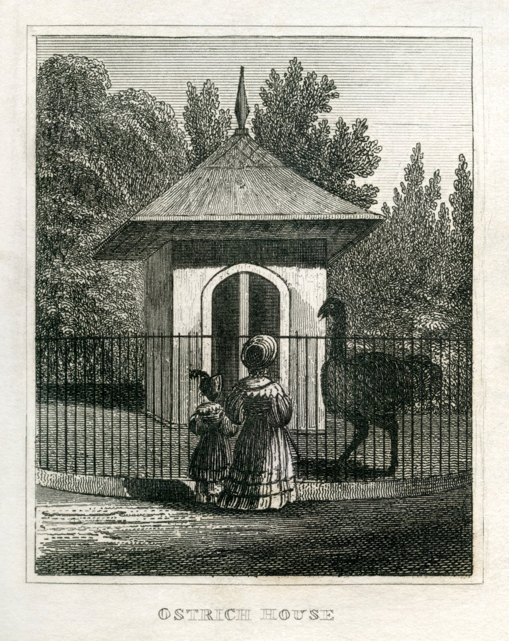 Zoológico Regent
