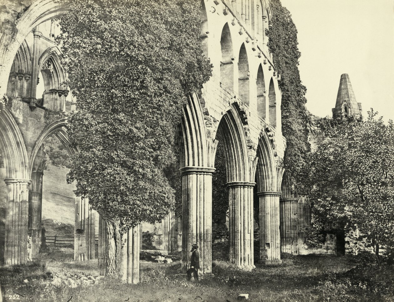 Abadia de Rievaulx, North Yorkshire, Reino Unido (foto a p/b) de Unbekannter Künstler