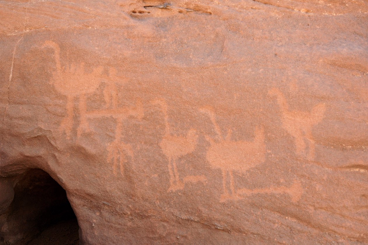 Rock art, Prehistoire: Gravação de um grupo de avestruzes, algumas das quais estão obstruídas (presas com uma pedra de obstáculo) e dois personagens no maciço de Uweinat, Sudão. Período de 8000 a 3000 anos antes de Cristo. Fotografia de Unbekannt