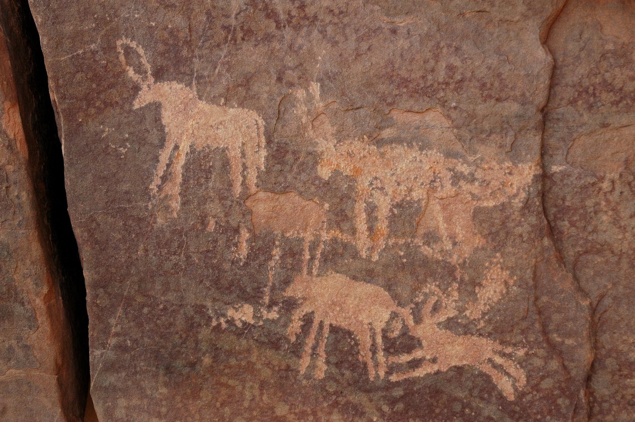 Arte rupestre, Pré-história: Gravura de um conjunto de antílopes e de um cão (inferior direito) no maciço de Uweinat, Egipto. (Período de 8000 a 3000 anos a.C.). Fotografia de Unbekannt