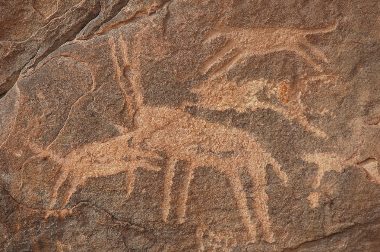 Arte rupestre, Pré-história: Gravura de um antílope atacado por uma matilha de cães no maciço de Uweinat, Egipto (Período de 8000 a 3000 anos antes de Cristo). Fotografia de Unbekannt