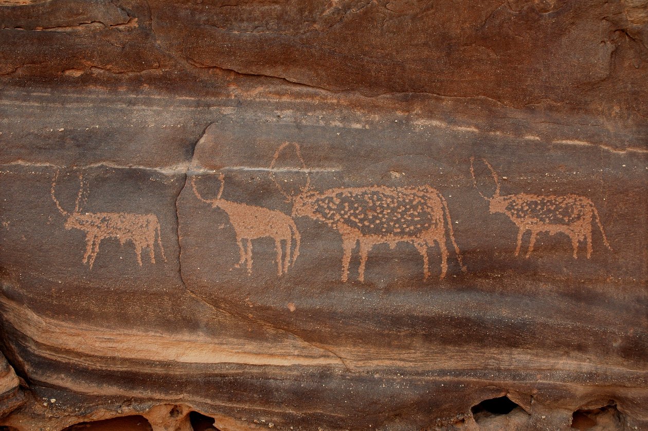 Arte rupestre, Pré-história: Gravura de quatro bovinos no maciço de Uweinat, Sudão (Karkur-Talh ou Karkur Talh). Período de 8000 a 3000 anos antes de Cristo. Fotografia de Unbekannt