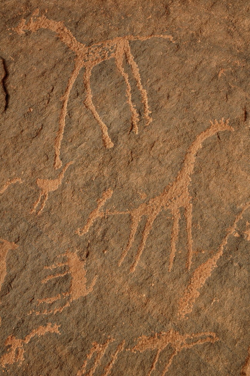 Arte rupestre, Pré-história: Gravura de girafas, avestruzes, outros animais e personagens no maciço de Uweinat, Sudão (Karkur-Talh ou Karkur Talh). Período de 8000 a 3000 anos antes de Cristo. Fotografia de Unbekannt