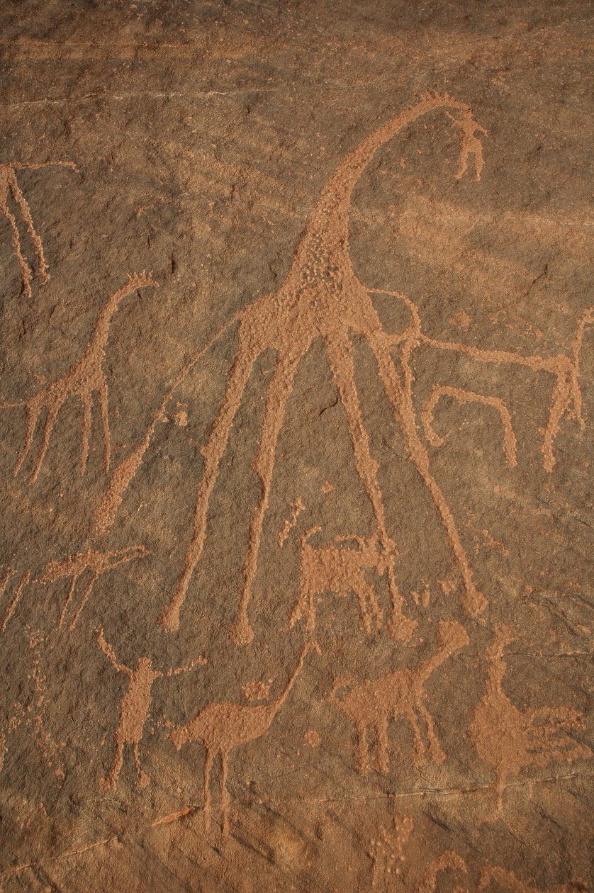 Arte rupestre, Pré-história: Gravura de girafas, avestruzes, ovelhas e personagens no maciço de Uweinat, Sudão (Karkur-Talh ou Karkur Talh). Período de 8000 a 3000 anos antes de Cristo. Fotografia de Unbekannt