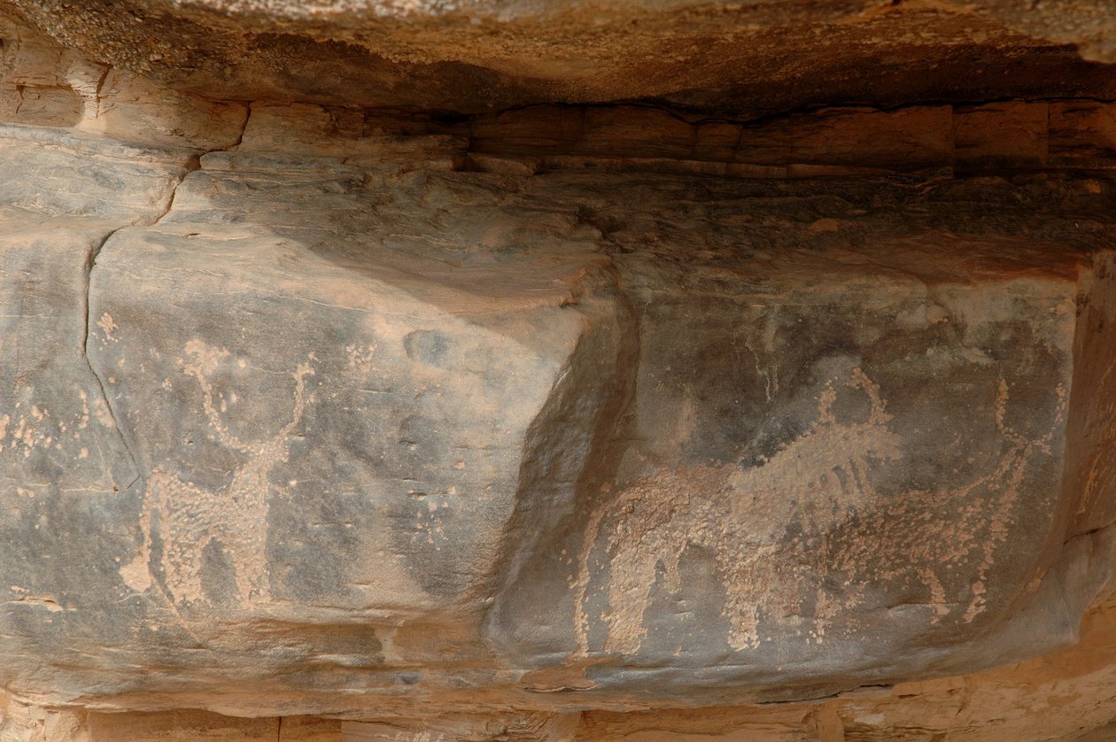 Arte rupestre, Pré-história: Gravura de três bovinos no maciço de Uweinat, Sudão (Karkur-Talh ou Karkur Talh). Período de 8000 a 3000 anos antes de Cristo. Fotografia de Unbekannt