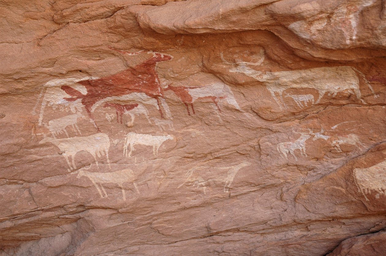 Arte rupestre, Pré-história: Pintura de um conjunto de gado num abrigo ornamentado, no maciço de Uweinat, Sudão (Karkur-Talh ou Karkur Talh). Período de 8000 a 3000 anos antes de Cristo. Fotografia de Unbekannt