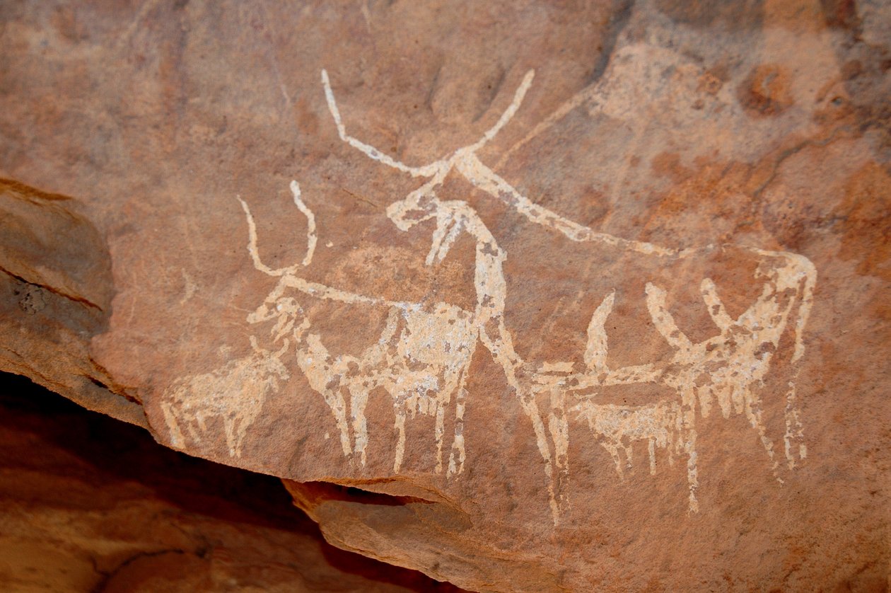 Arte rupestre, Pré-história: Bovinos pintados com grandes chifres num abrigo adornado no maciço de Uweinat, Sudão (Karkur-Talh ou Karkur Talh). Período de 8000 a 3000 anos antes de Cristo. Fotografia de Unbekannt