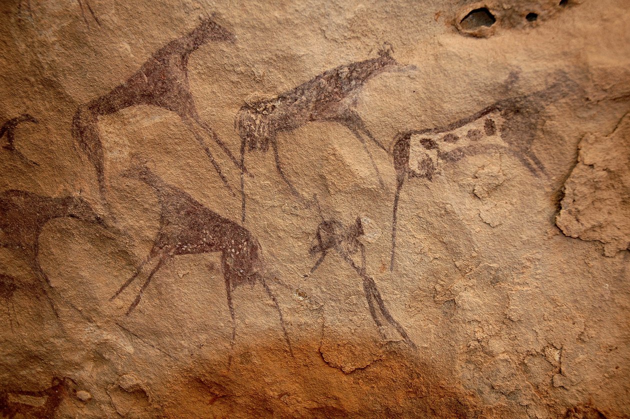 Arte rupestre, Pré-história: Pintura rupestre de um grupo de gado e personagens policromáticas num abrigo ornamentado, no maciço de Uweinat, Sudão. Período de 8000 a 3000 anos antes de Cristo. Fotografia de Unbekannt