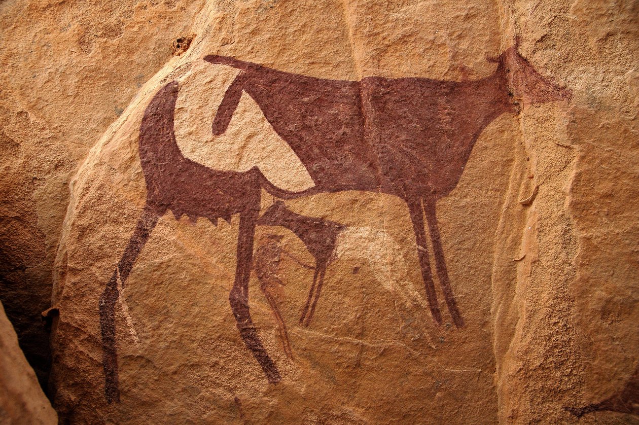 Arte rupestre, Pré-história: Pintura rupestre de uma grande vaca de dois tons e seu bezerro num abrigo ornamentado, no maciço de Uweinat, Sudão. Período de 8000 a 3000 anos antes de Cristo. Fotografia de Unbekannt