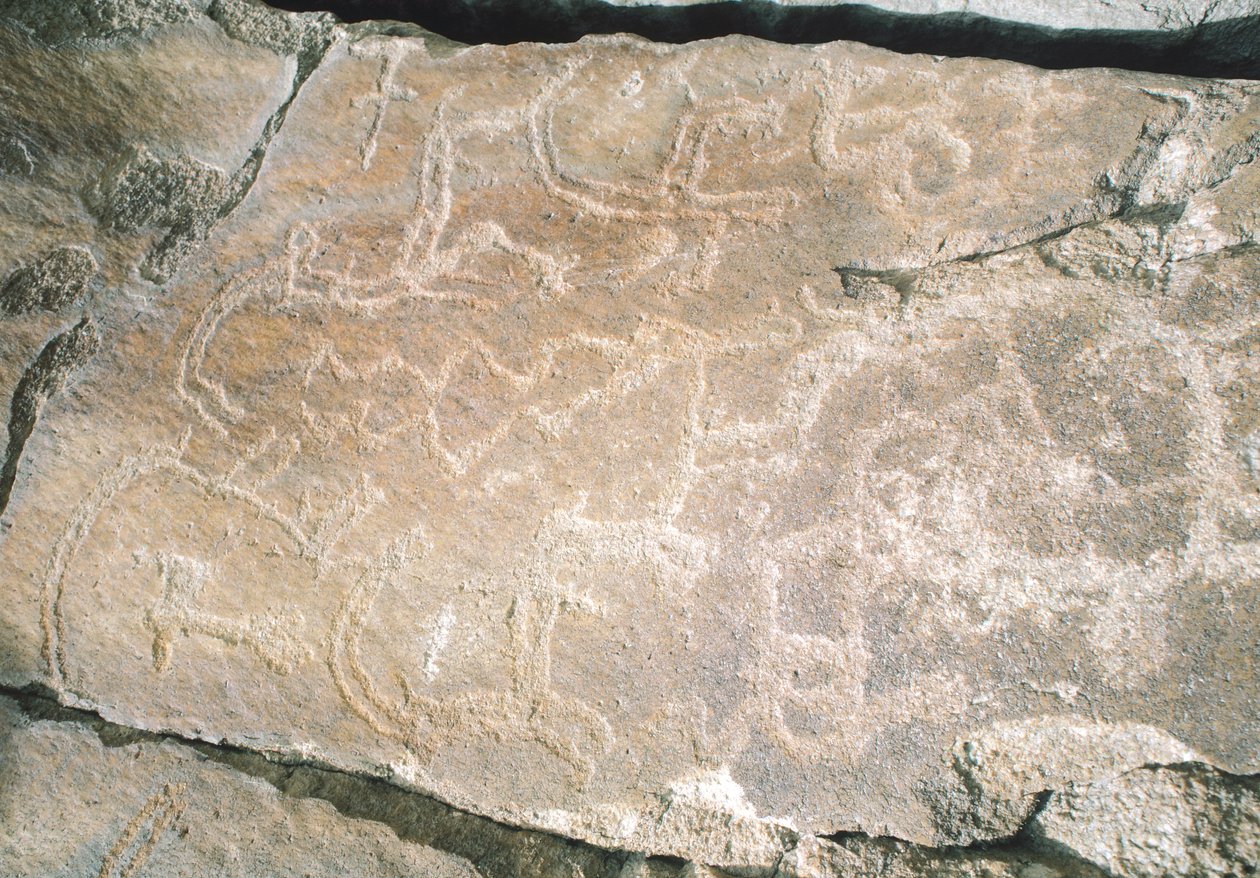 Esculturas rupestres em Hunza Valley, perto da área arqueológica de Karimabad, Paquistão de William M. Timlin