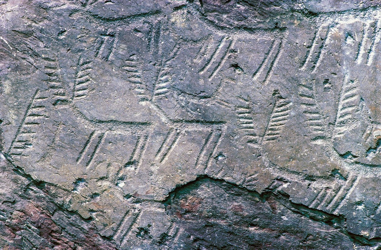 Esculturas rupestres no Parque Arqueológico Nacional Massi di Cemmo, Val Camonica (Lista do Património Mundial da Unesco) de William M. Timlin