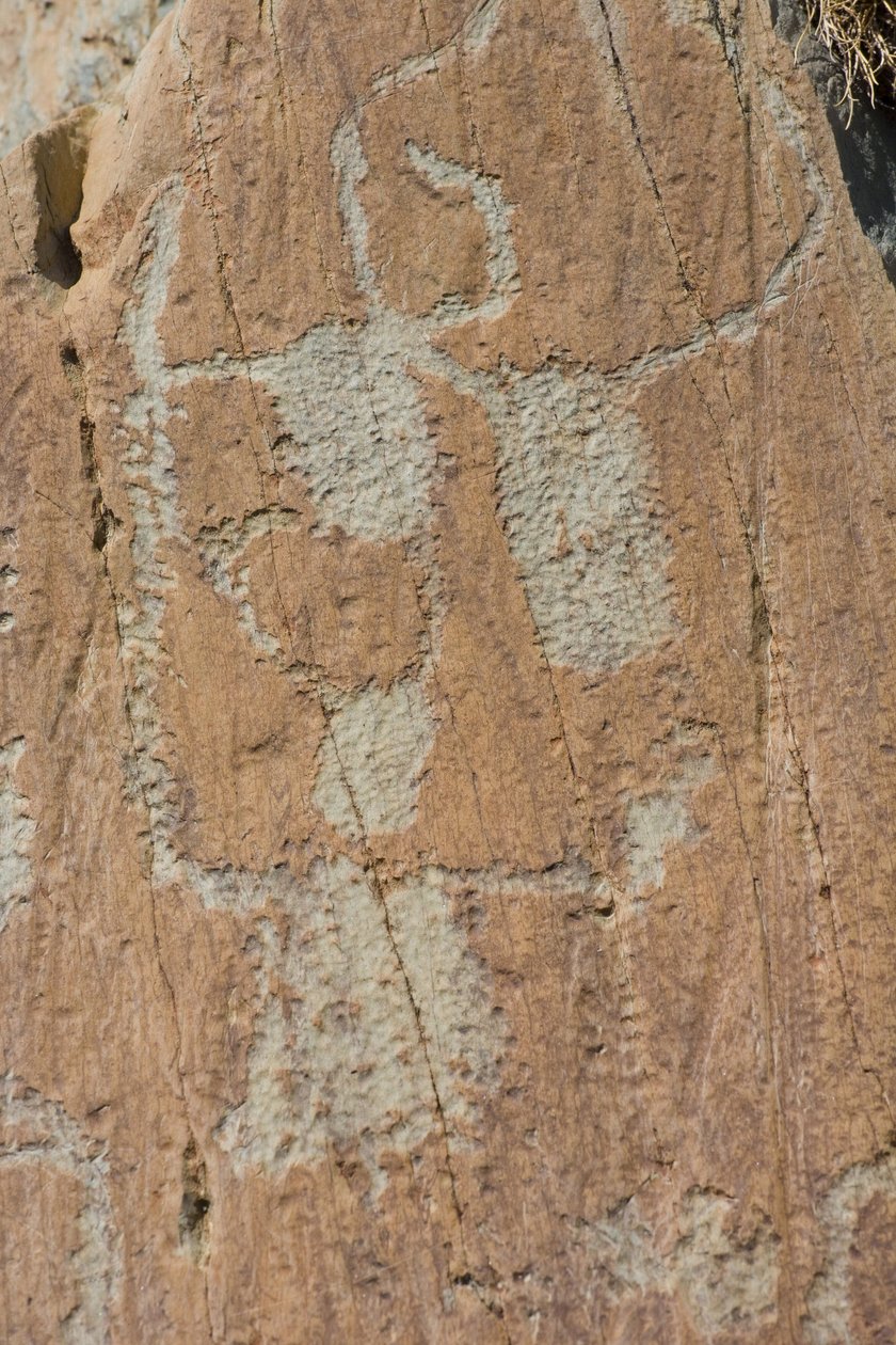 Gravuras rupestres do Vallee de Fontanalba/Corniformes emboites ou gado/Mercantour National Park/Tende/Alpes-Maritimes/France de Unbekannt