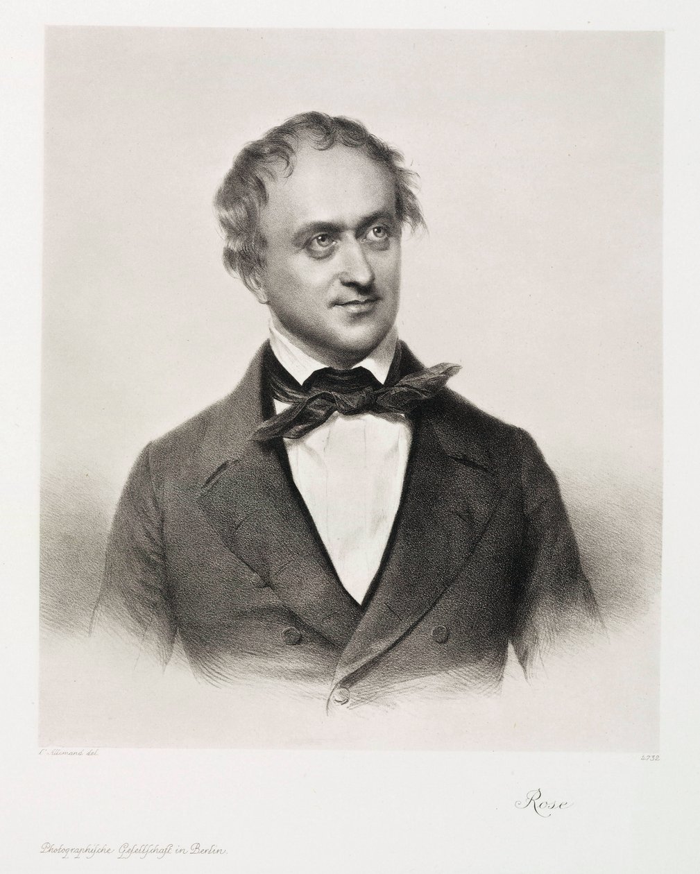 Rose de Unbekannt