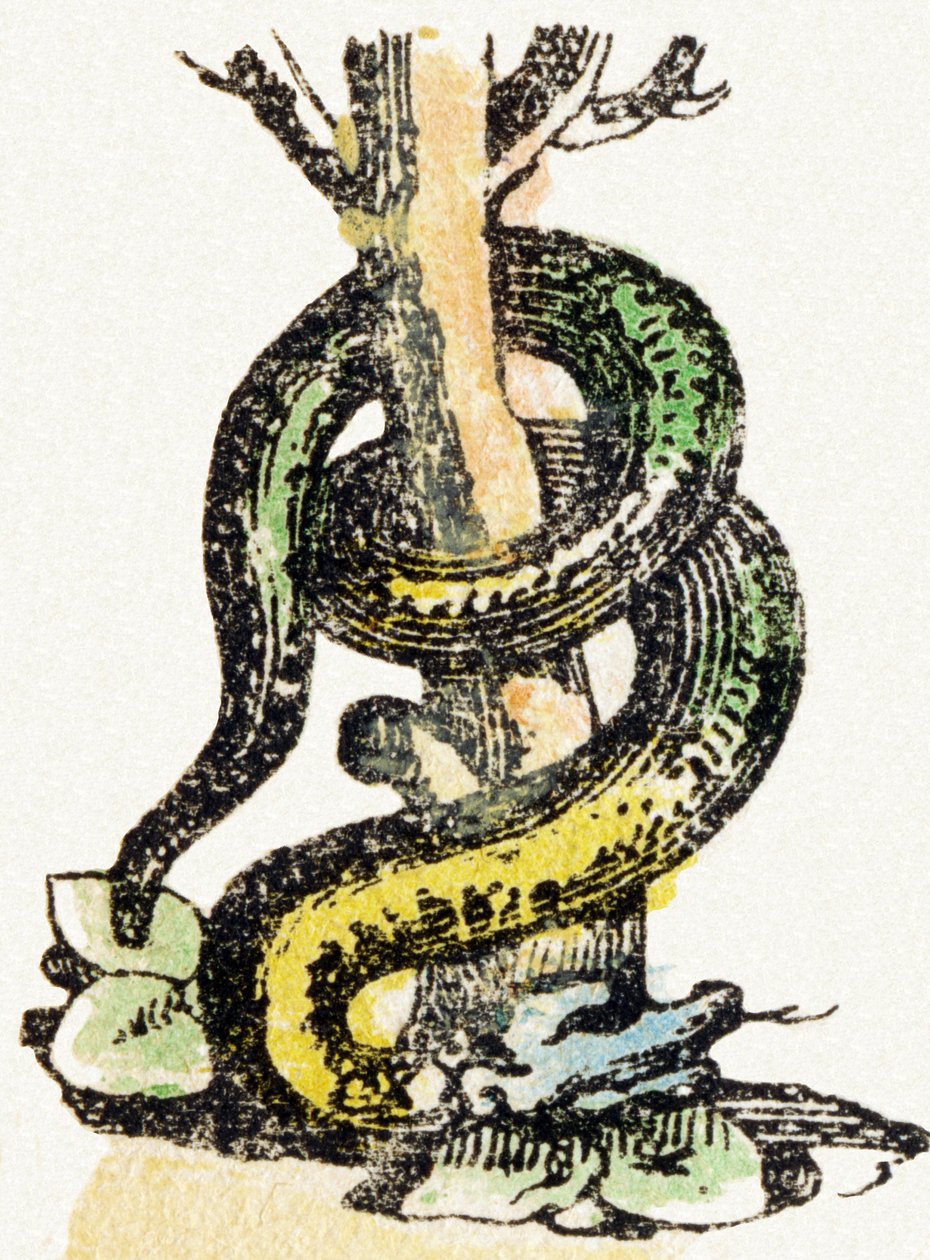 S - Serpente - Alfabeto de entretenimento infantil c.1890 (litografia) de Unbekannt