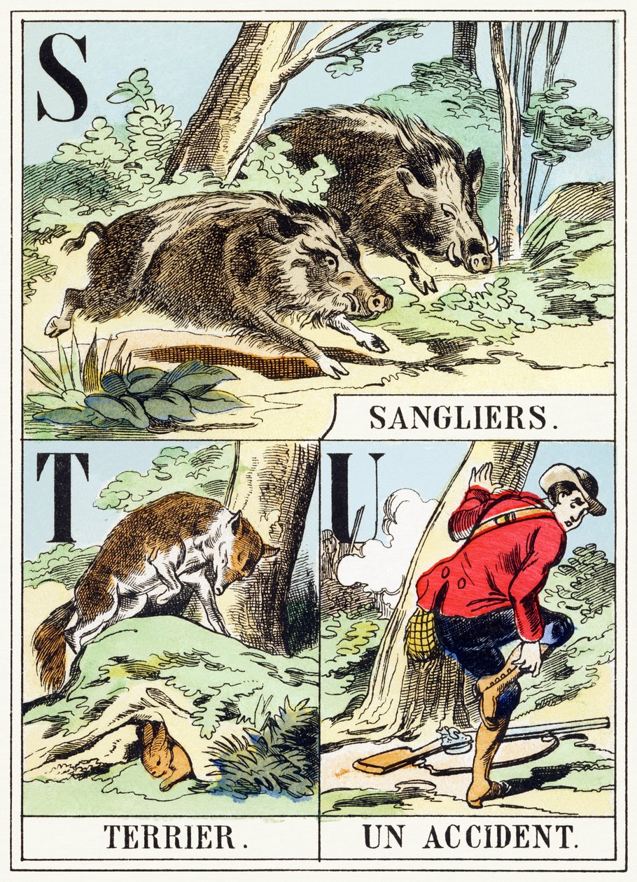 S T U : Sanglier, Terrier, Un accident - The Hunting Alphabet, c.1890 (gravura) de Unbekannt