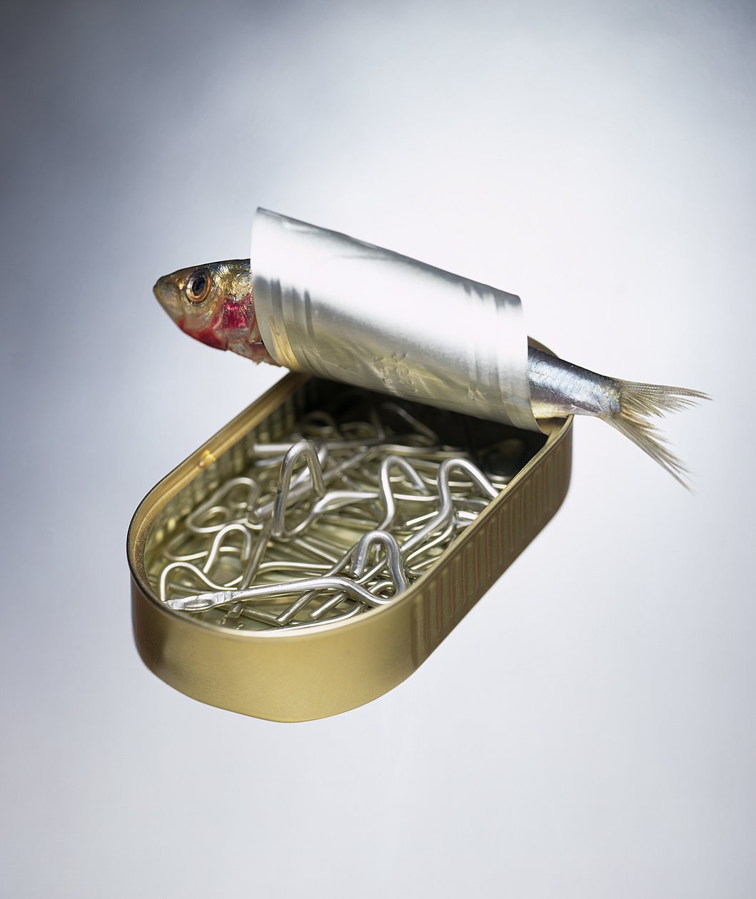 Inversão da lata de sardinha de Unbekannter Künstler