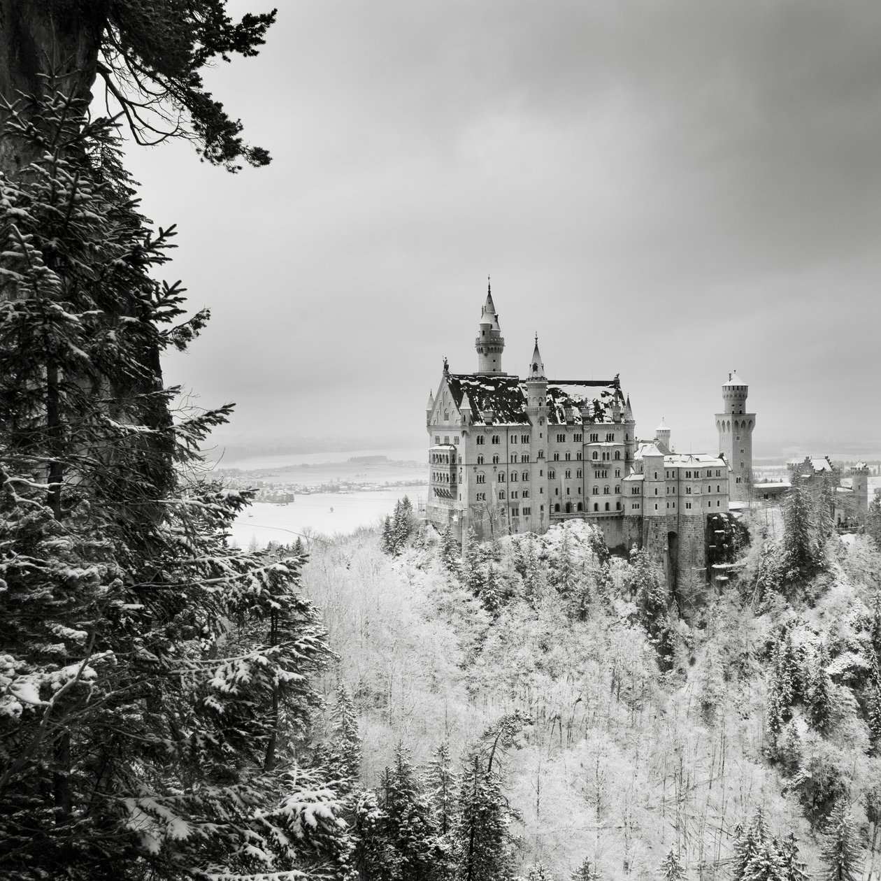 Castelo de Neuschwanstein, Füssen, Alemanha, 2013 (foto p/b) de Leopold Blonder