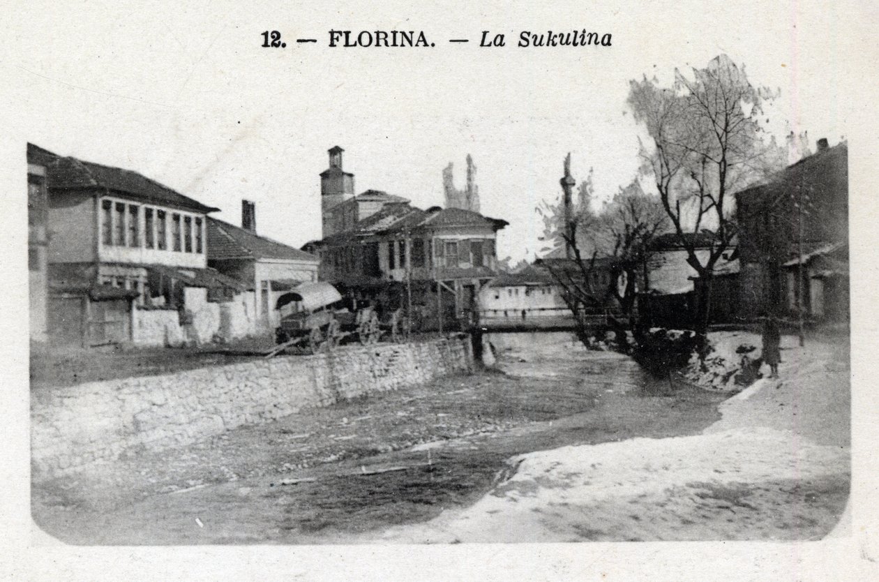 Sérvia, Florina (atual Grécia): vista da Sukulina - Cartão Postal 1914-1918 de William M. Timlin