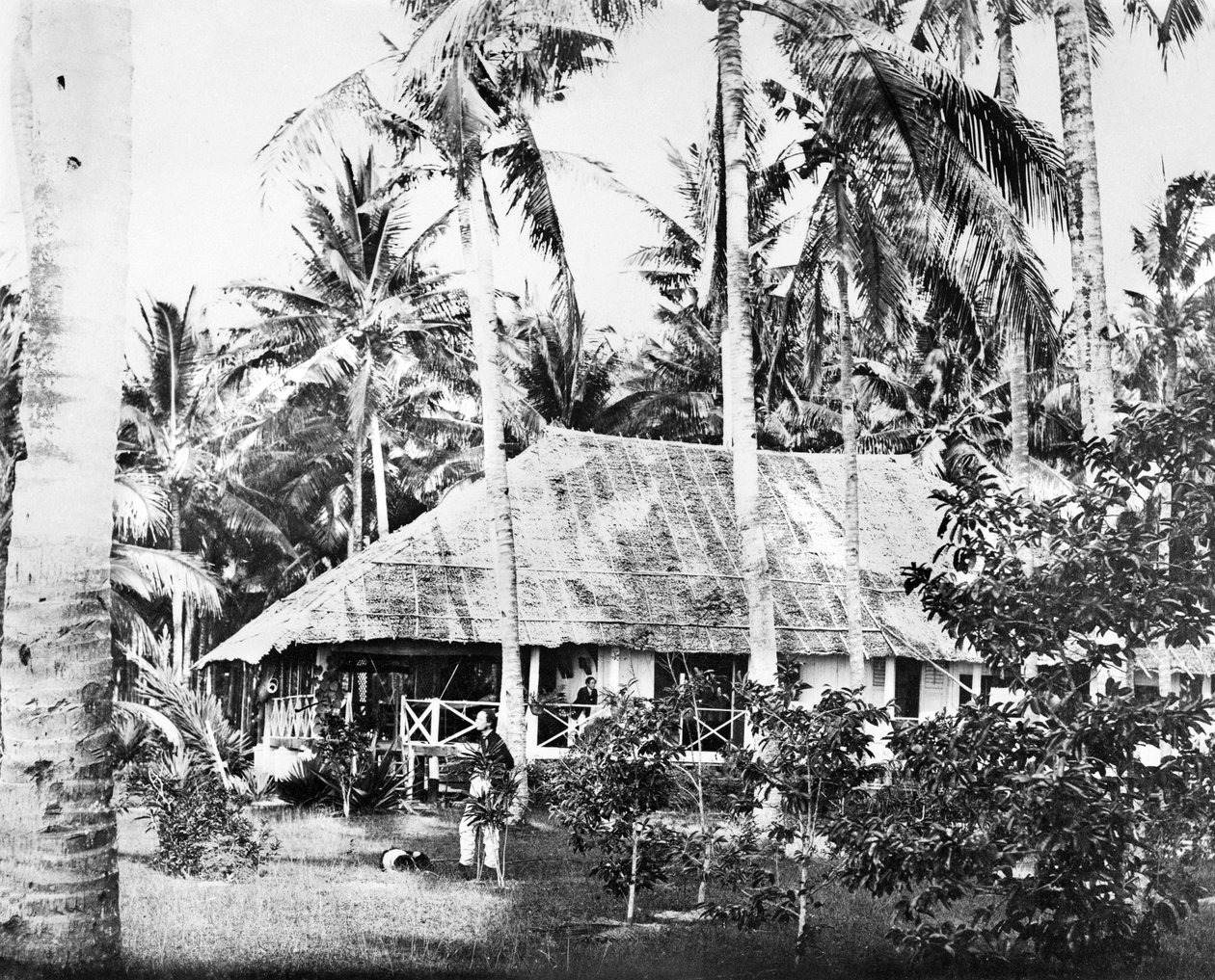 Singapura : Um bungalow privado rodeado por palmeiras. Cingapura, c1875 de Unbekannt