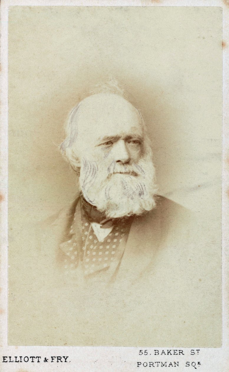 Sir Charles Lyell, geólogo inglês, c1865-1875 de Unbekannt