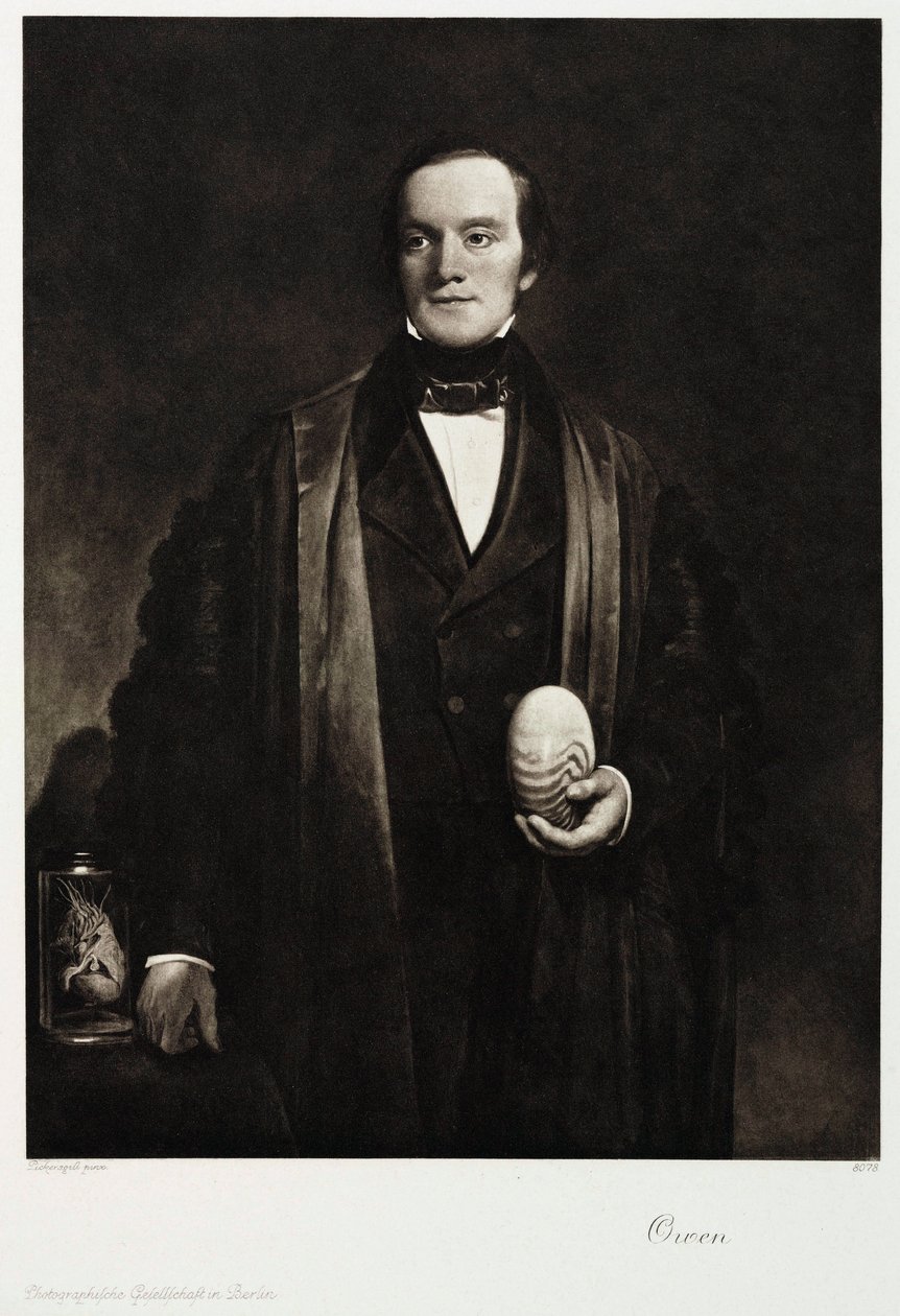 Sir Richard Owen, naturalista e paleontólogo inglês, c 1845 de Unbekannt