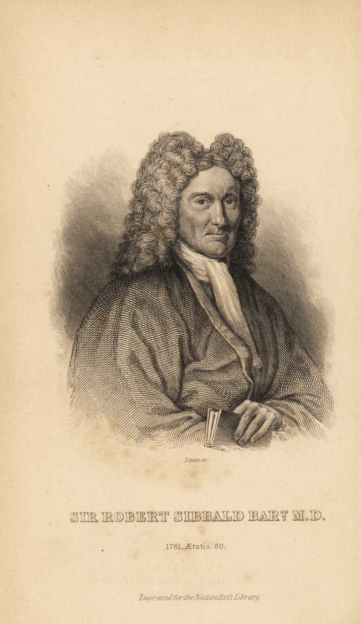 Sir Robert Sibbald, naturalista e antiquário escocês de Unbekannt