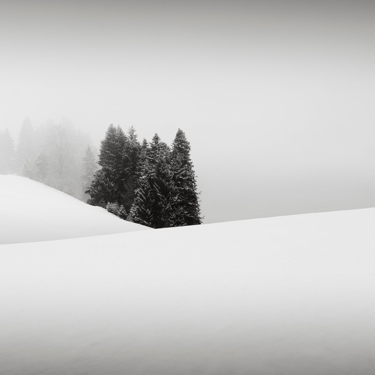Snowytales Oasis, Baviera, Alemanha, 2013 (foto p/b) de Leopold Blonder
