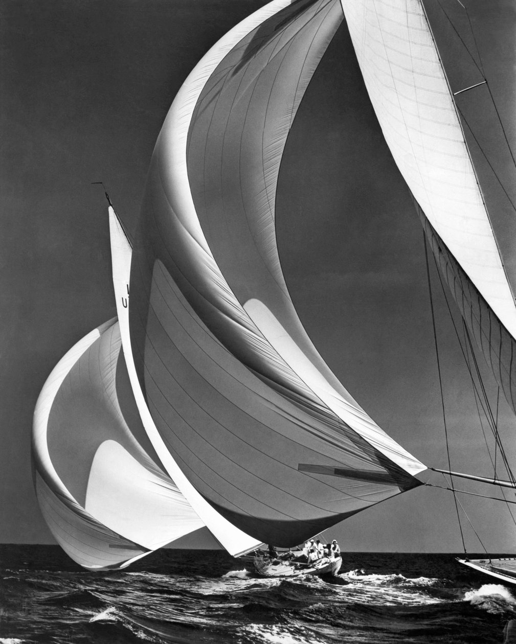 Spinakers On Racing Sailboats (foto a p/b) de Unbekannter Künstler