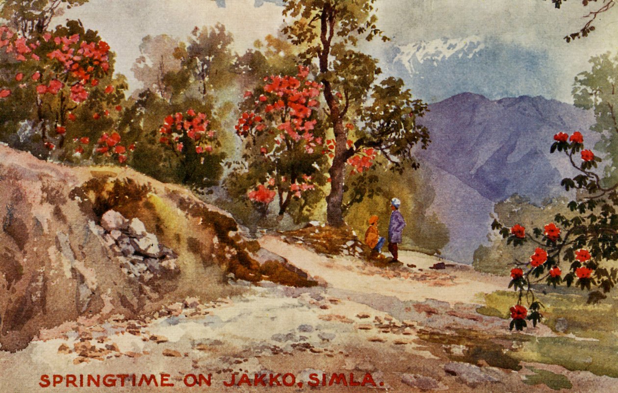 primavera em Jahko, Simla, Índia de Unbekannter Künstler