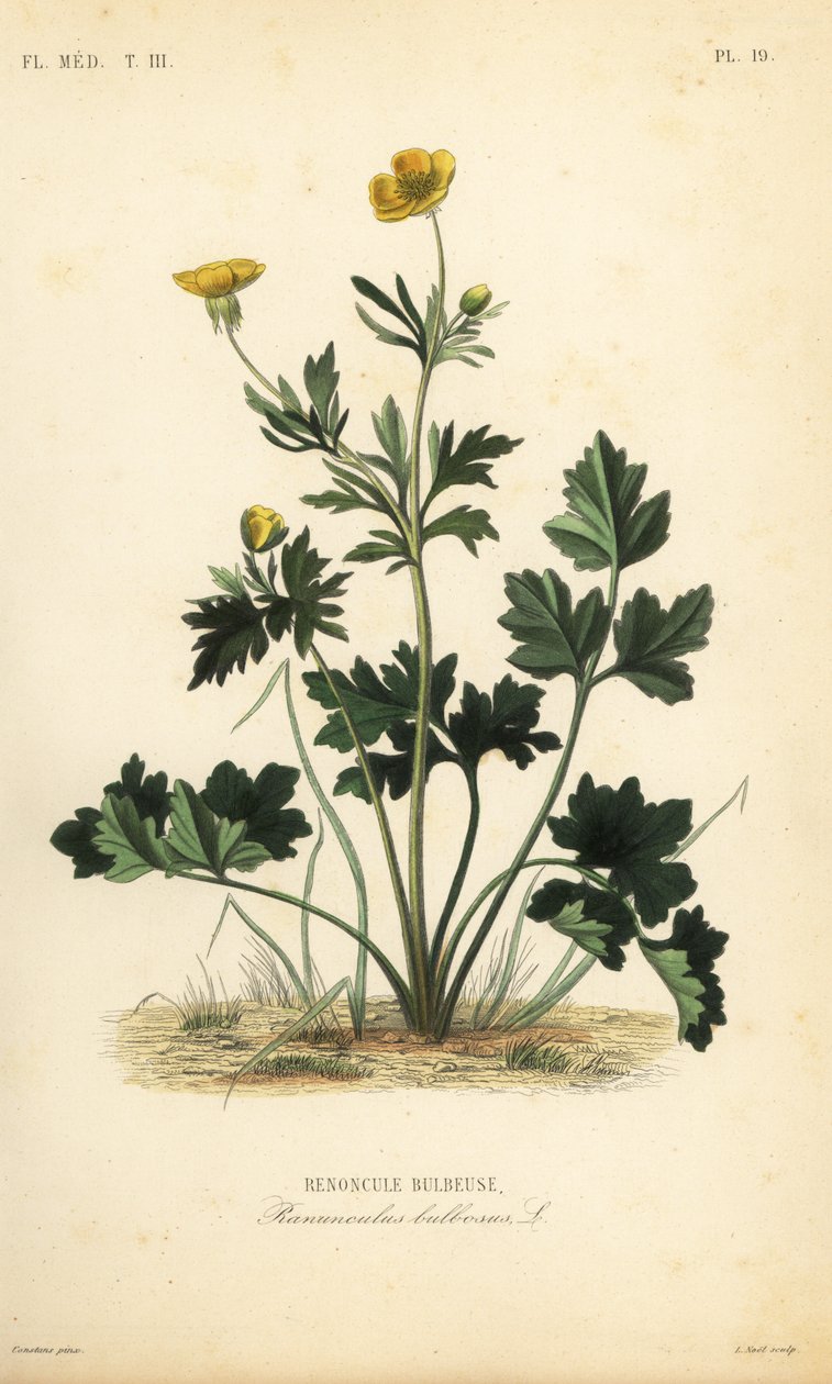 St de Unbekannt