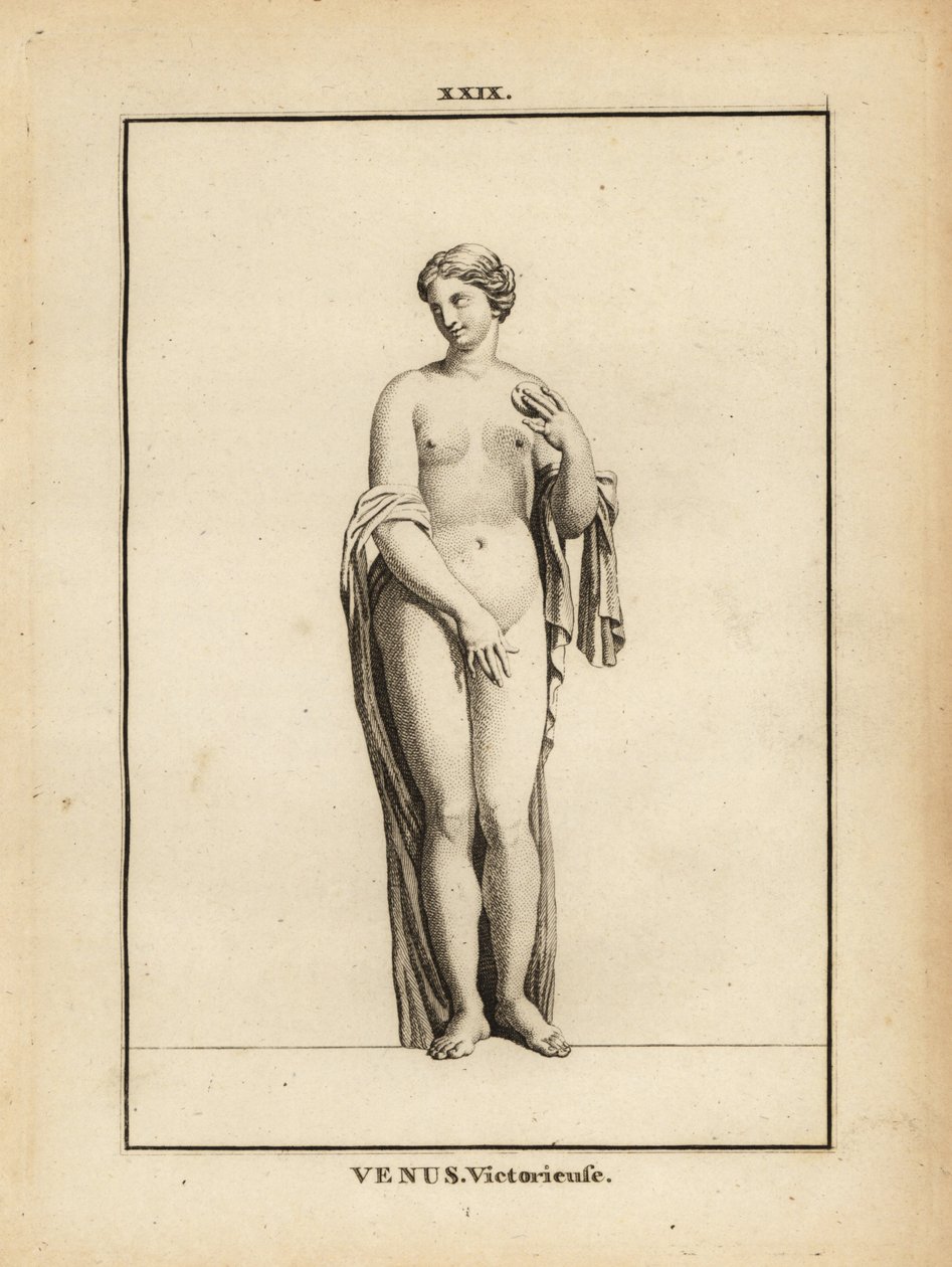 Estátua de Vénus Victrix, deusa romana do amor, da beleza, do sexo e da fertilidade de Unbekannt