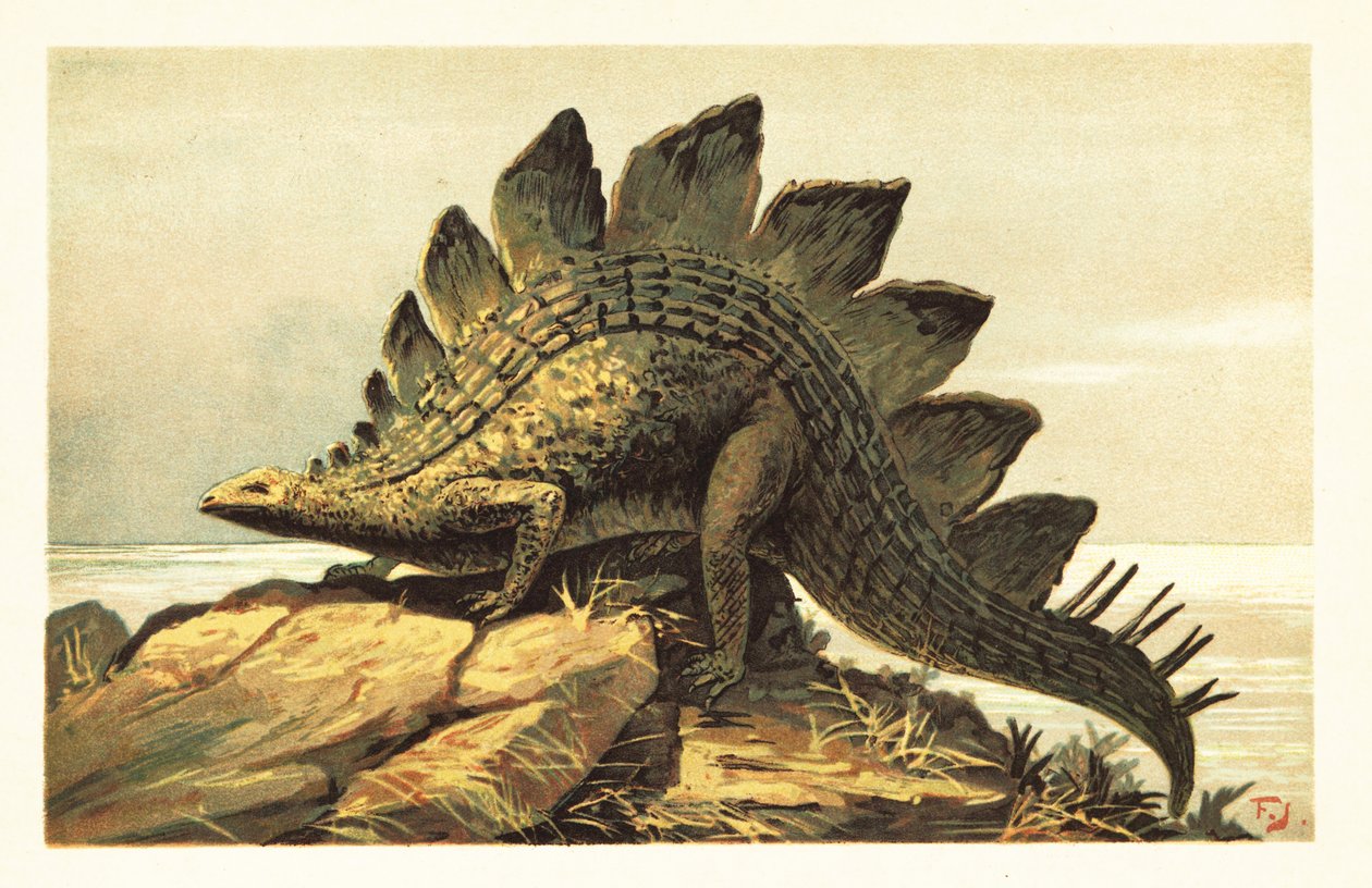 Stegosaurus, gênero extinto de dinossauro herbívoro. 1908 (litografia) de Unbekannter Künstler