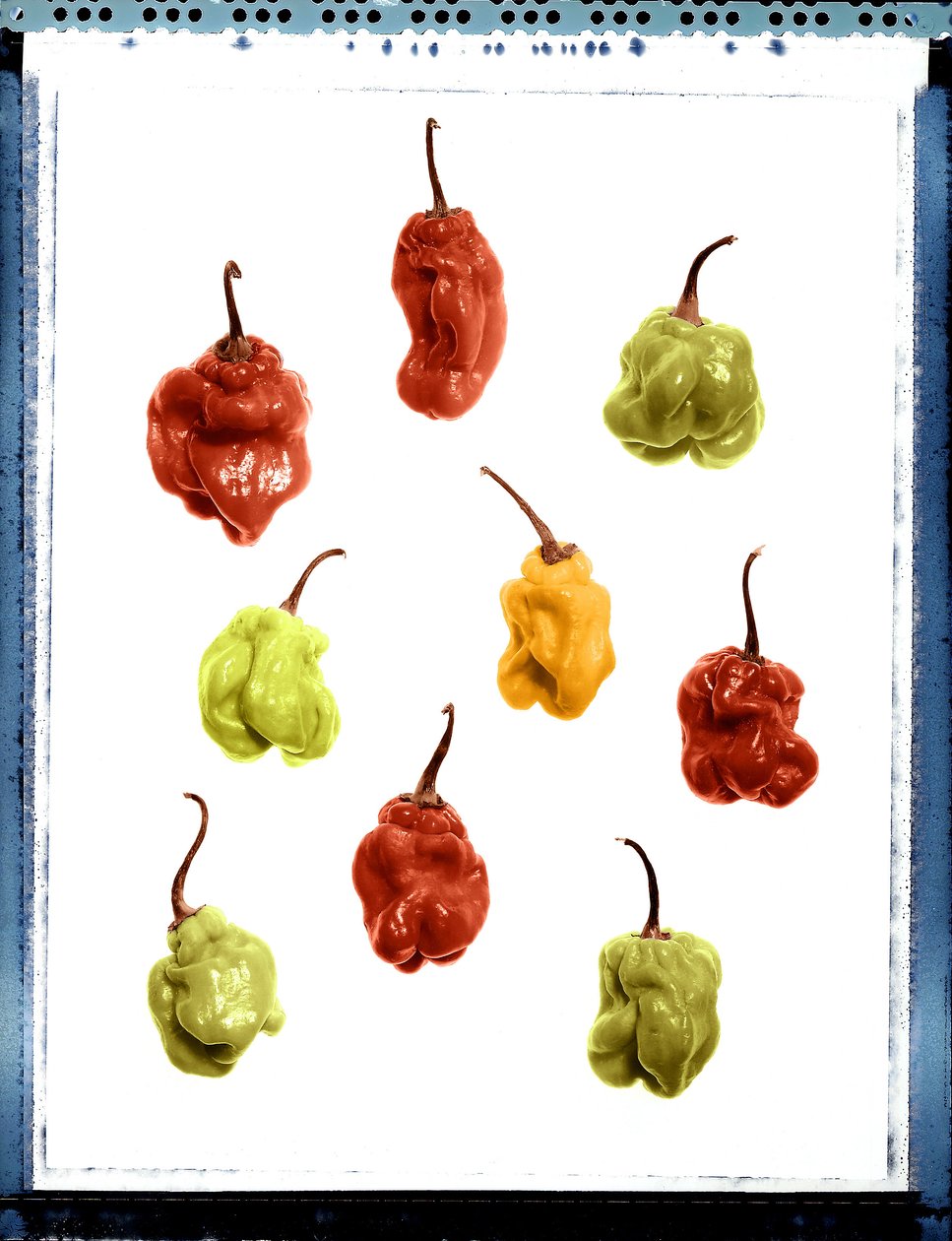 Natureza morta dos pimentos amarelos, vermelhos e verdes de Unbekannt