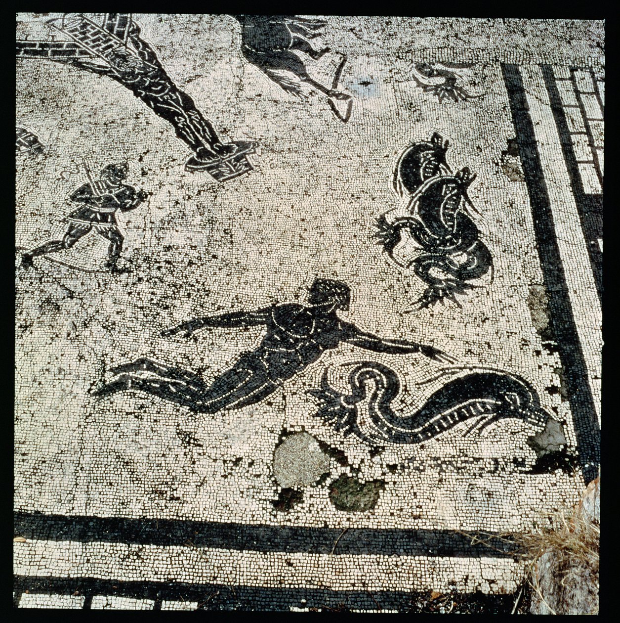 Nadar com os Golfinhos, do Frigidarium of the Baths em Ostia, Século II d.C. (mosaico) de Unknown