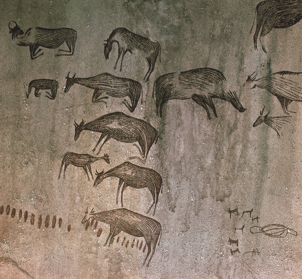 Tanzânia, Região de Dodoma, Desenhos rupestres de Nicolas d