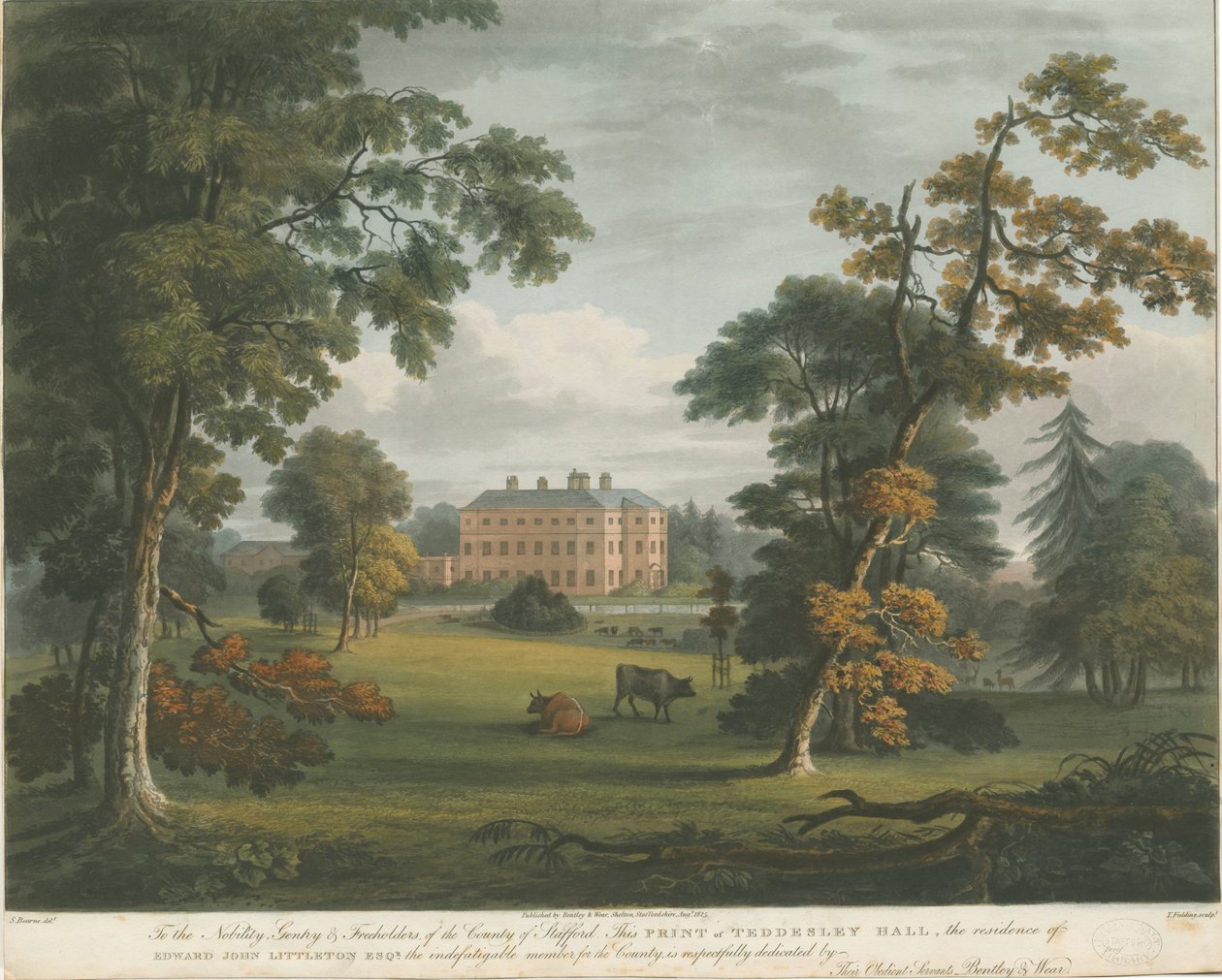 Teddesley Hall: gravura em aquatinta colorida, nd [c 1825] de Unbekannt